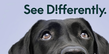 Working With See Differently to Resolve Their Unique Safety Requirements