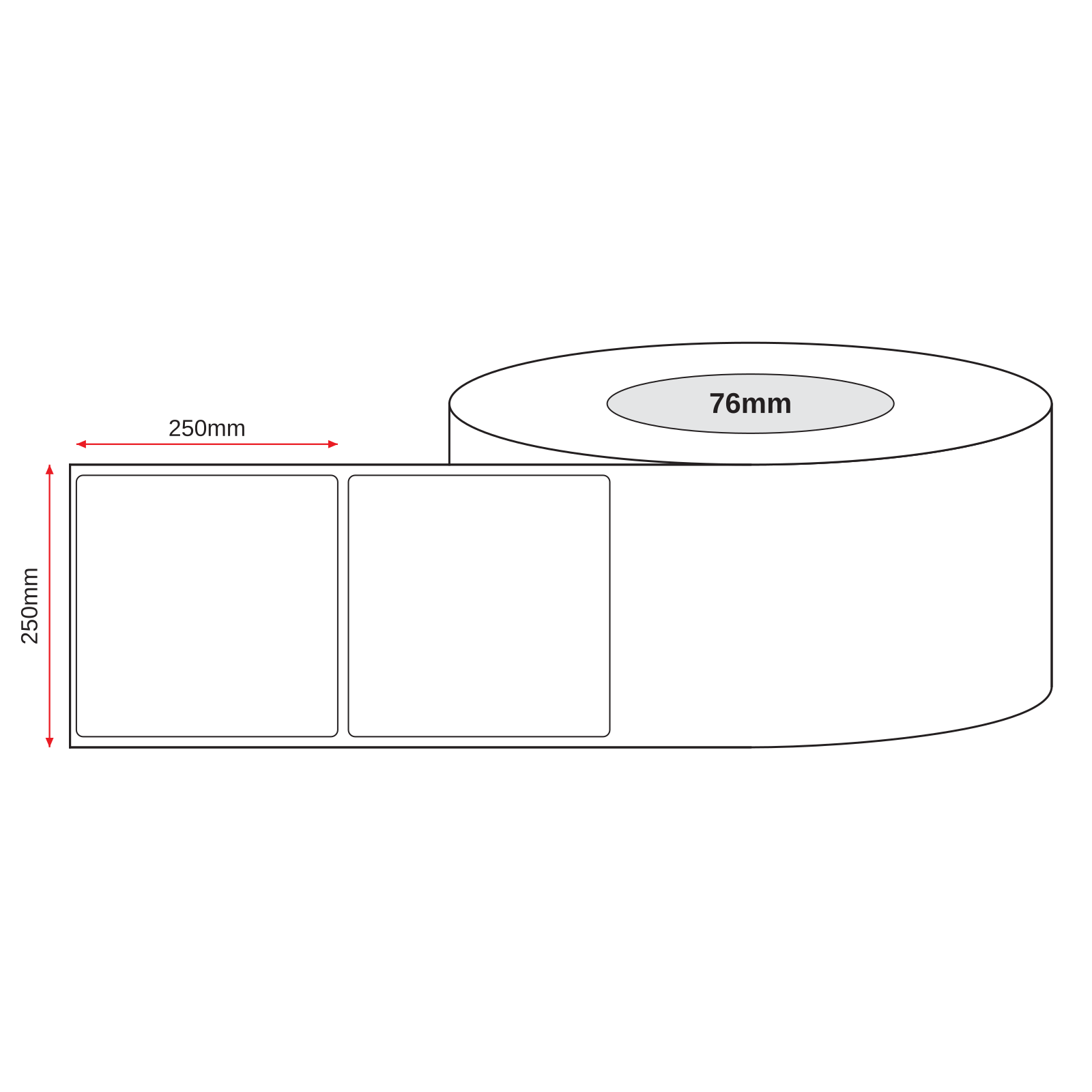 Corrosive 8 Sticker - Dangerous Goods Container Poly Labels 250mm x 250mm 25/Pack - Omni Packaging 