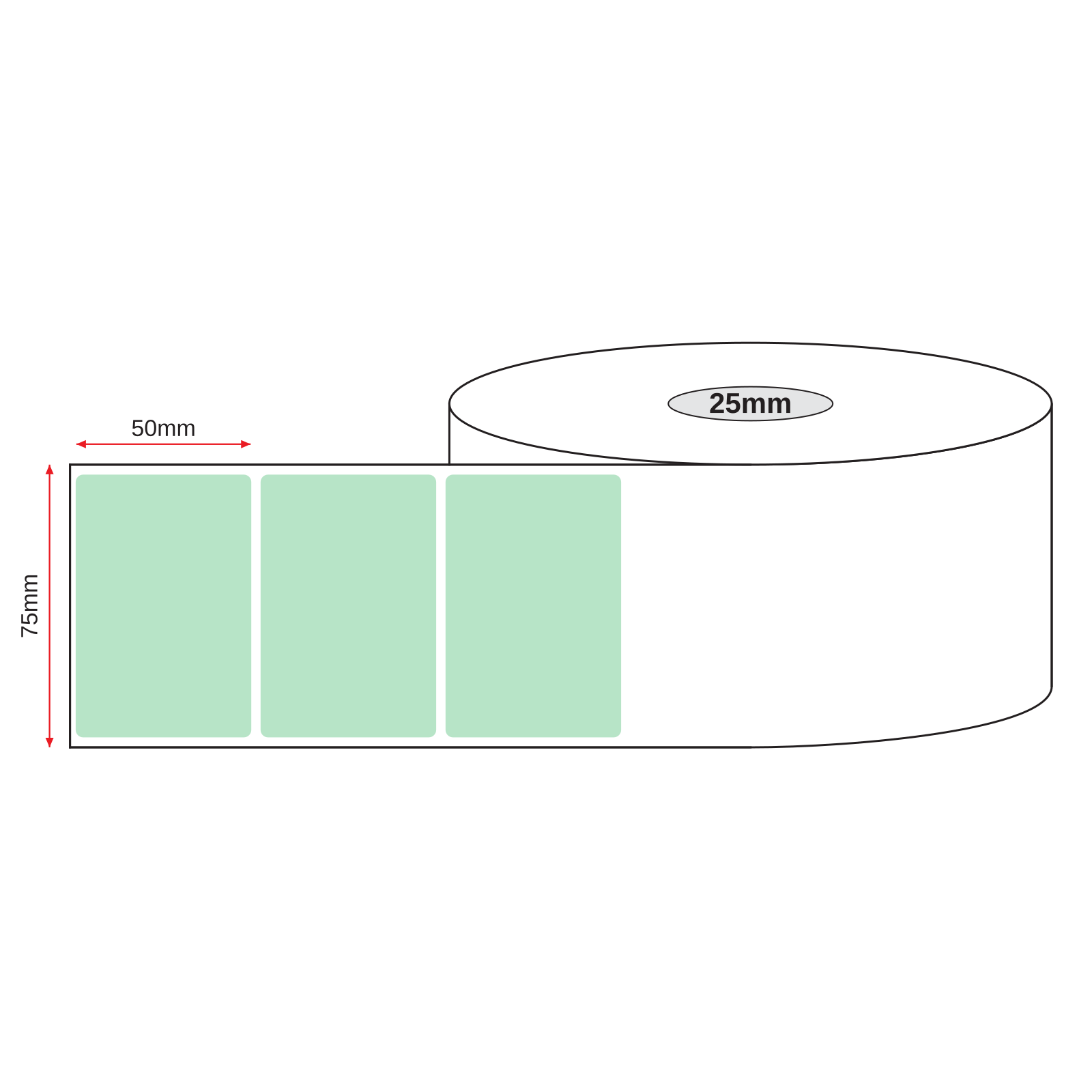 Thermal Direct Label Paper Green Permanent 75mm x 50mm Perf. 700/roll 25mm core - Omni Packaging 