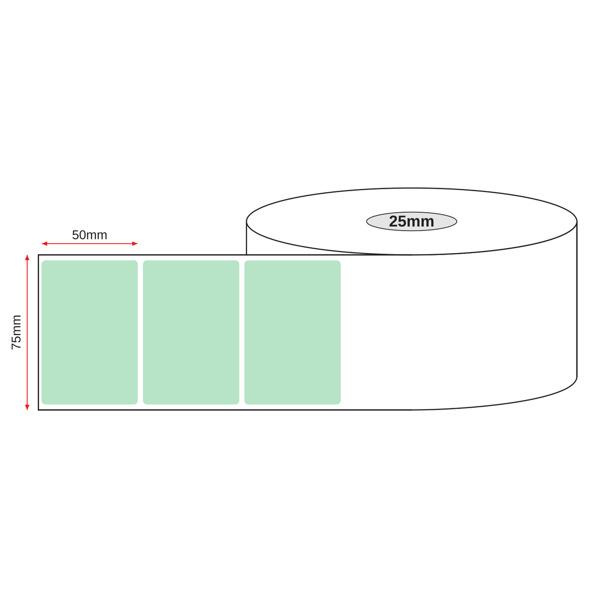Thermal Direct Label Paper Green Permanent 75mm x 50mm Perf. 700/roll 25mm core - Omni Packaging 