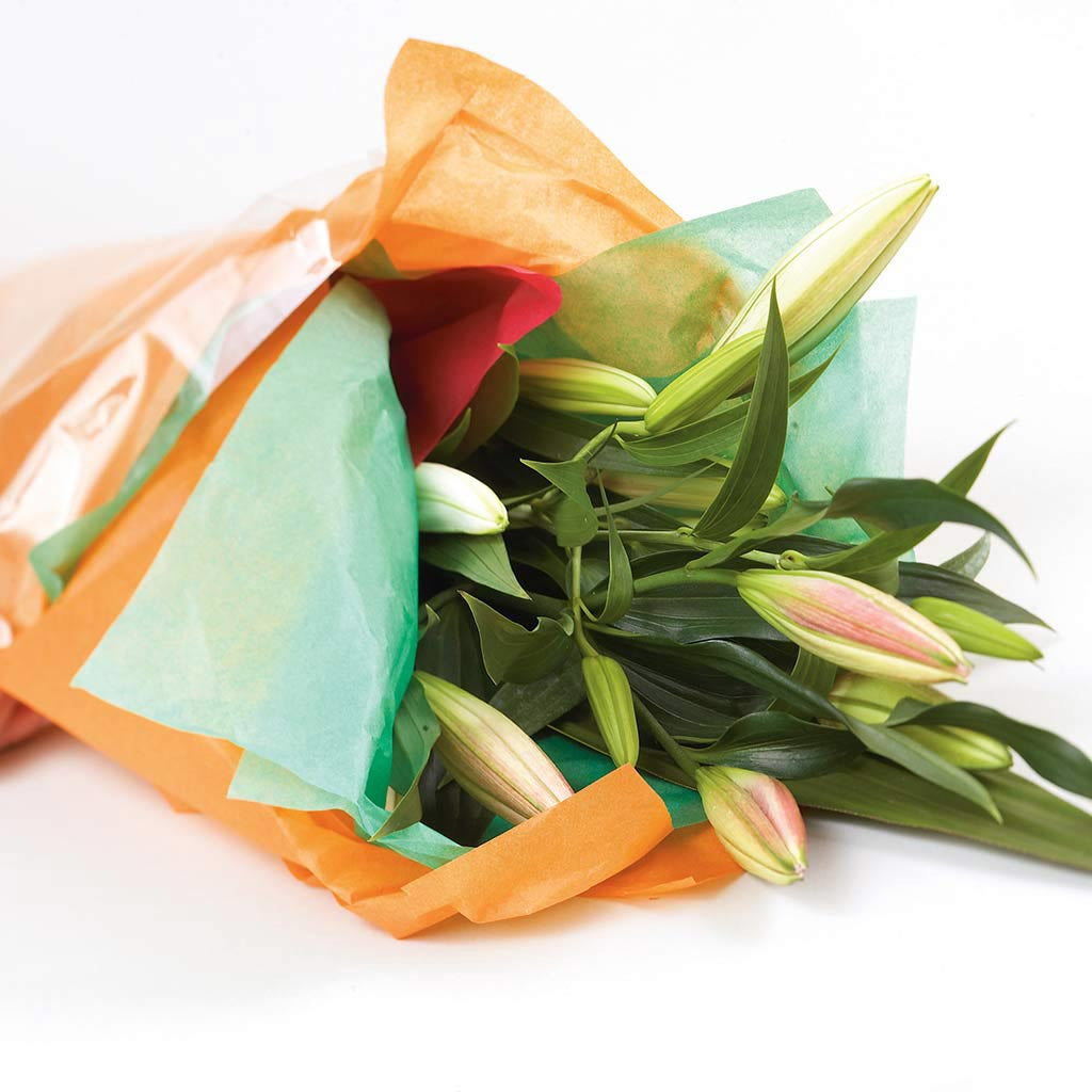 Tissue Paper 510mm x 760mm Grey 26 480 sheets/ream - Omni Packaging 
