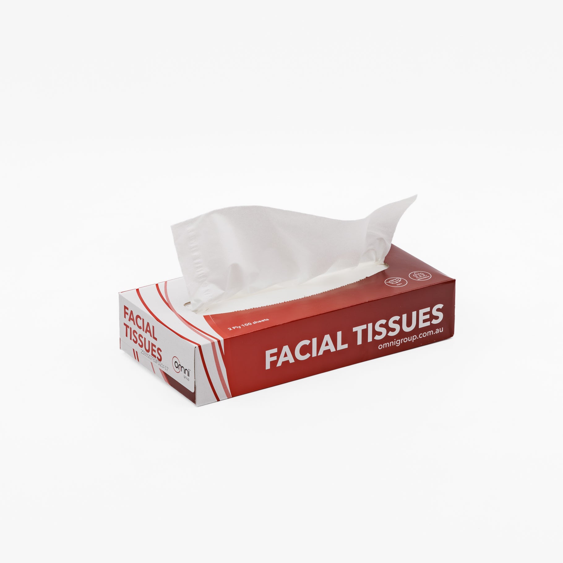 Facial Tissues 2 Ply 100 sheets 48 packs/ctn - Omni Packaging 